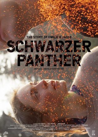 Schwarzer Panther (2014)